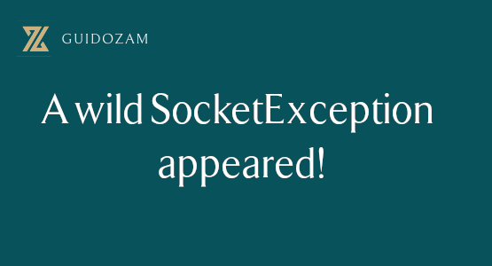 A wild SocketException&nbsp;appeared!